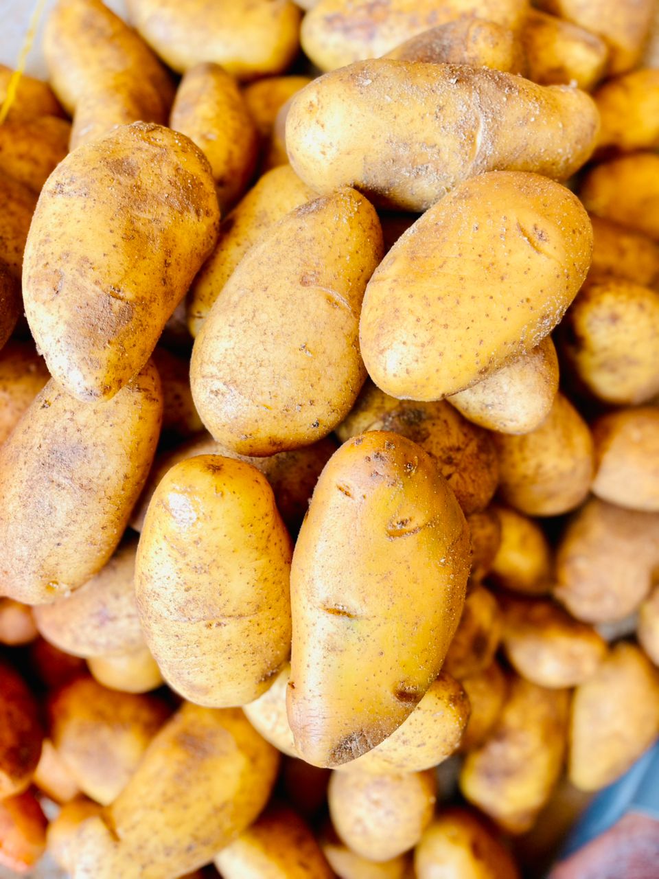 Pommes de terre 🥔 oignons 🧅 et ail 🧄