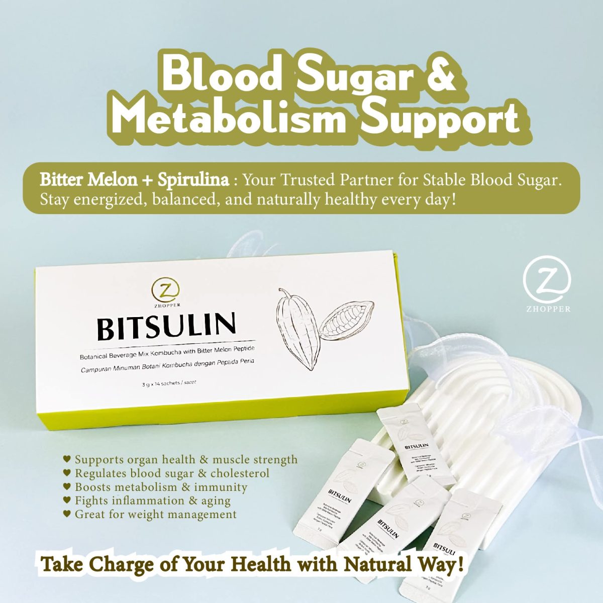 ZHOPPER BITSULIN