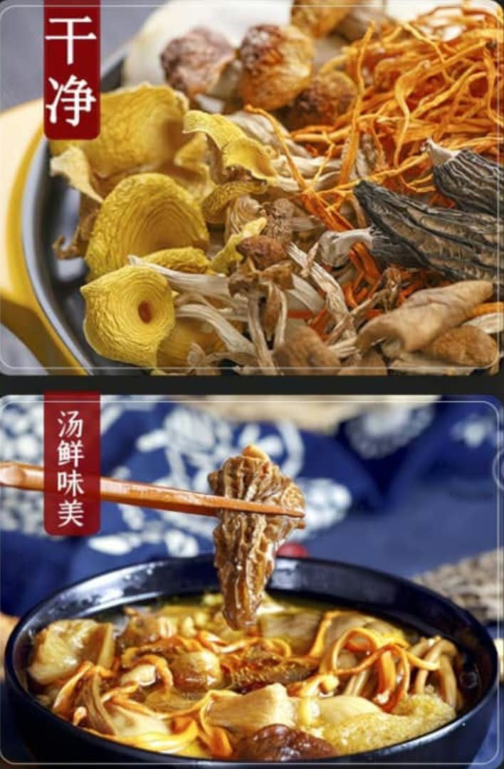 Champignons du Yunnan