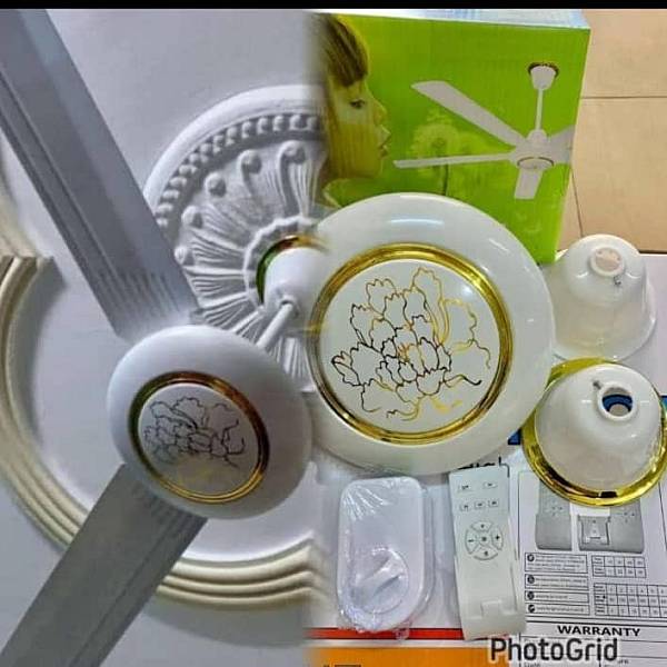 Ventilateur solaire