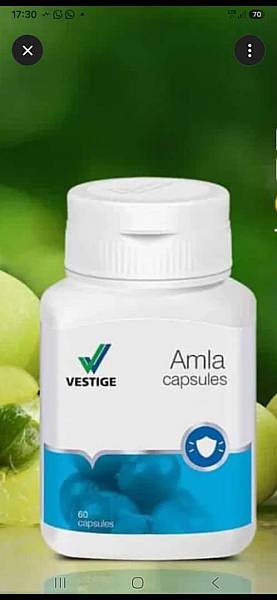 VESTIGE AMLA