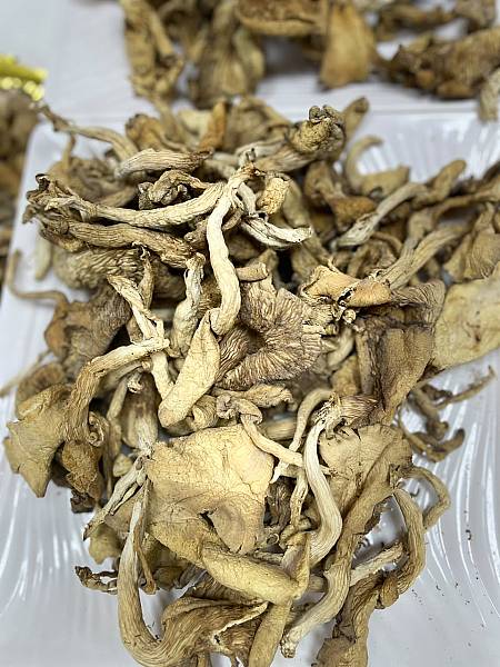 Champignon frais et sec