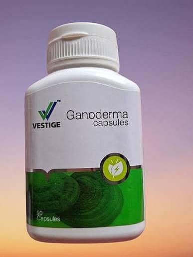 Ganoderma