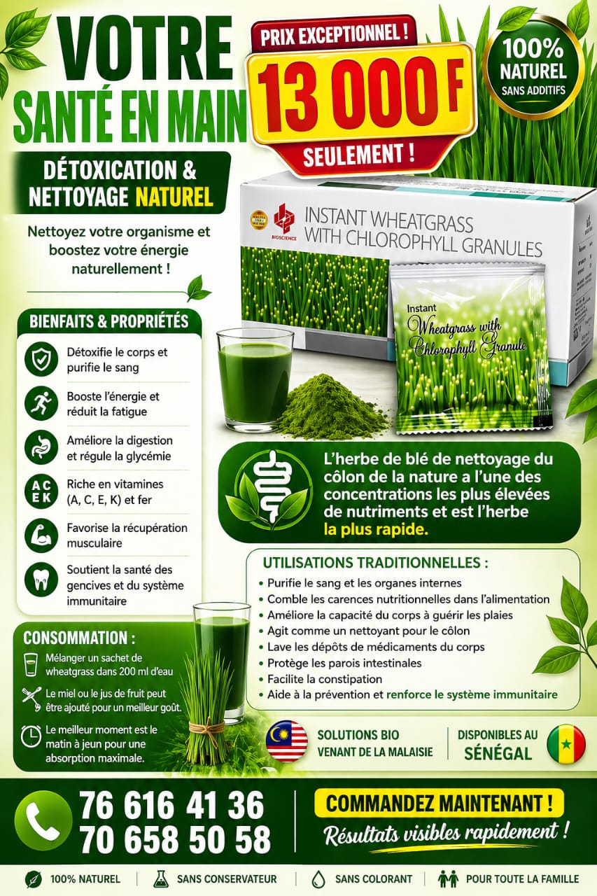 Poudre de l'extrait de l'herbe de blé ( wheatgrass)