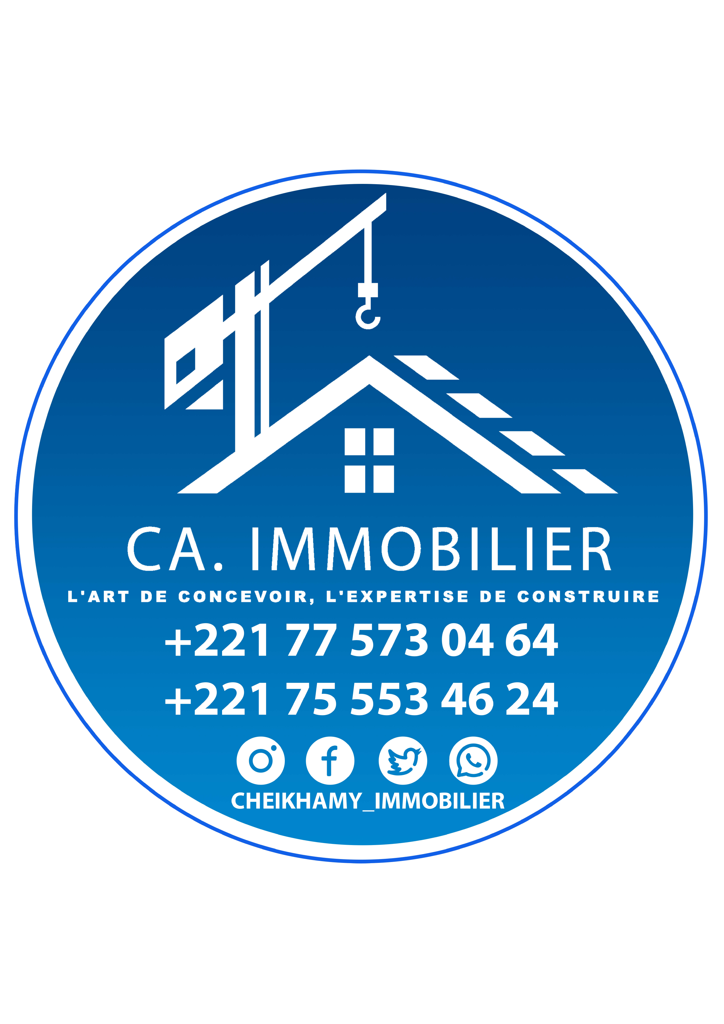 Cheikh Amy IMMO et Services