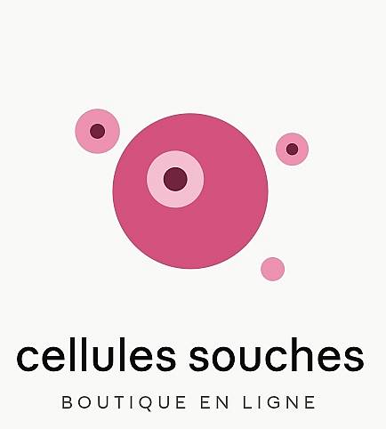 Cellules Souches